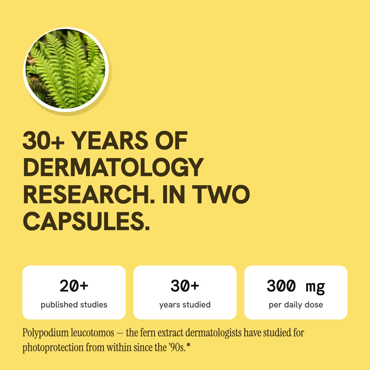30+ years of dermatology research in two capsules — polypodium leucotomos fern extract: 20+ published studies, 30+ years studied, 300 mg per daily dose