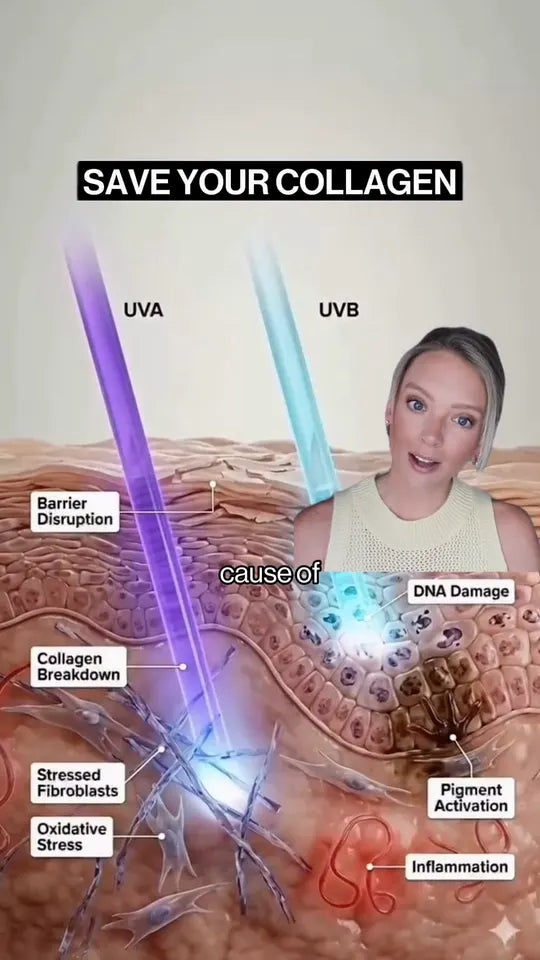 REYS customer — save your collagen